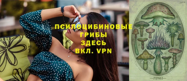 сатива Богородицк