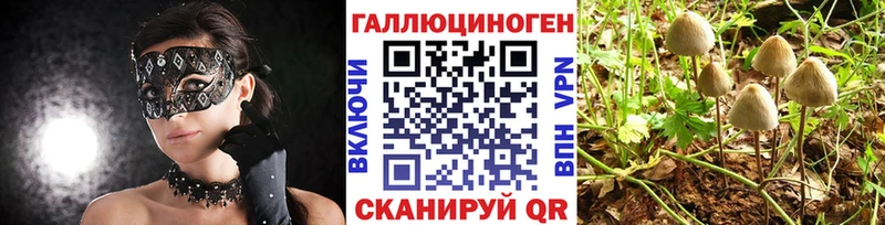 Галлюциногенные грибы прущие грибы  как найти   Брюховецкая 